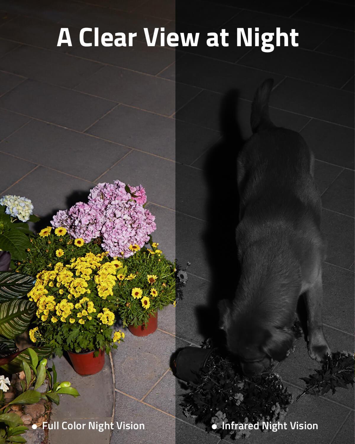 Eufy Spotlight SoloCam S40 Solar 2K Wi-Fi -White - Anker Kuwait