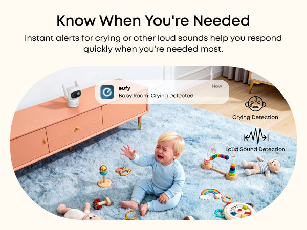 Eufy Wired Cam C31 2-Cam Pack