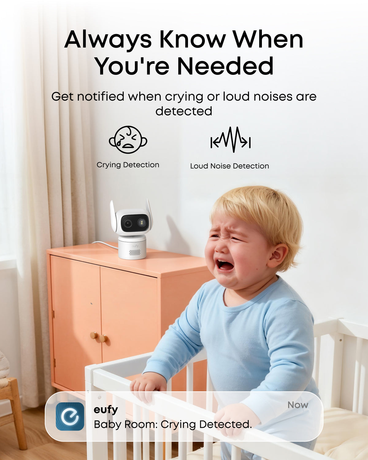 Eufy Wired Cam C31 solo